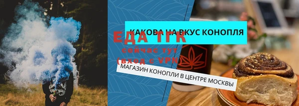 крисы Новокубанск