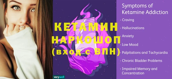 гидра Новодвинск