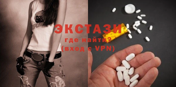 гидра Новодвинск