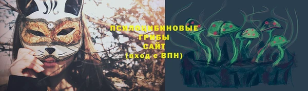 крисы Новокубанск