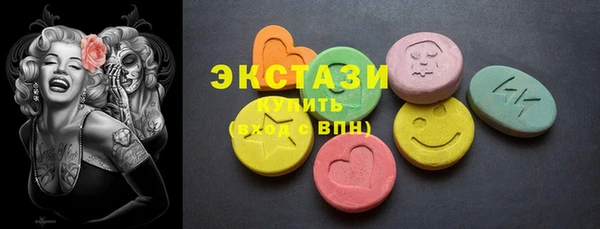 гидра Новодвинск
