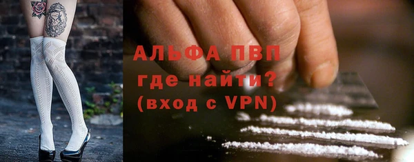 гидра Новодвинск