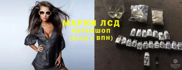 гидра Новодвинск