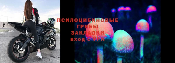 крисы Новокубанск