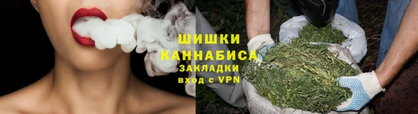 крисы Новокубанск