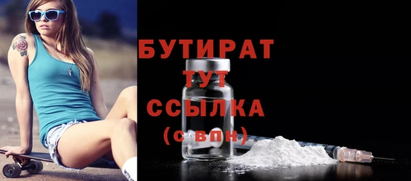 гидра Новодвинск