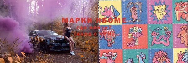 гидра Новодвинск