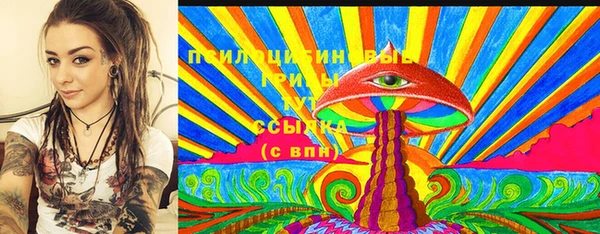 гидра Новодвинск