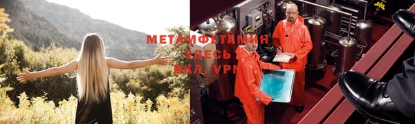 крисы Новокубанск