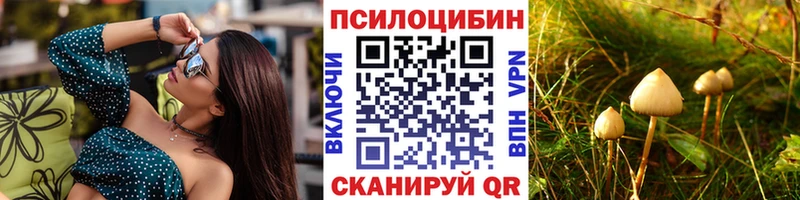 Купить закладки Окуловка Псилоцибиновые грибы прущие грибы