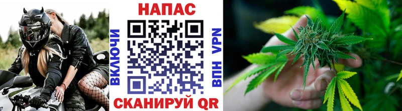 Шишки марихуана конопля  Купить  Окуловка 